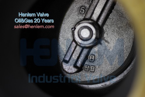 High pressure swing check valve Carbon Steel STL Trim